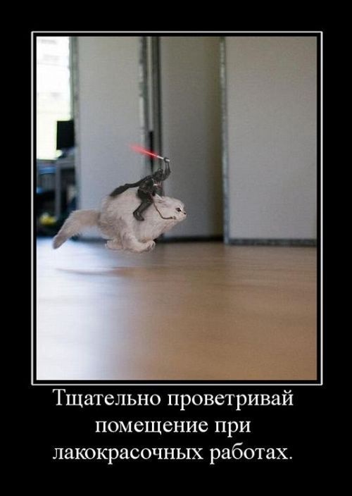 фотография.JPG