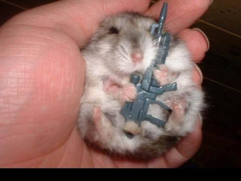 killer.jpg